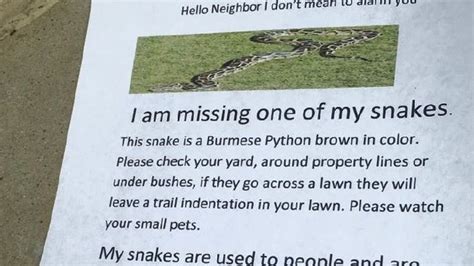 Image result for Wanted Sign of Burmese Python