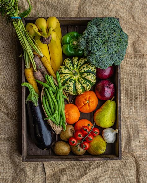 Image result for Organic Pest Control Methods