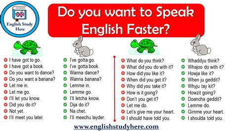 Toradh íomhá ar Speak English and Learn