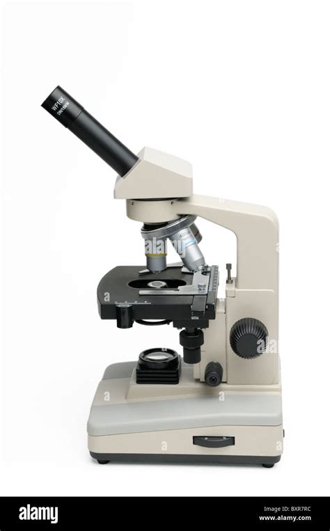 Toradh íomhá ar Compound Microscope Example