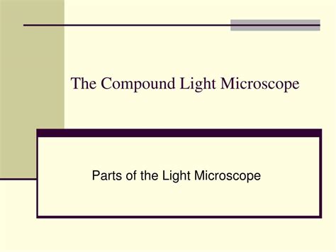 Image result for Compound Light Microscope Slide Examples