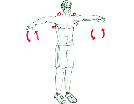 Image result for Arm Rotation