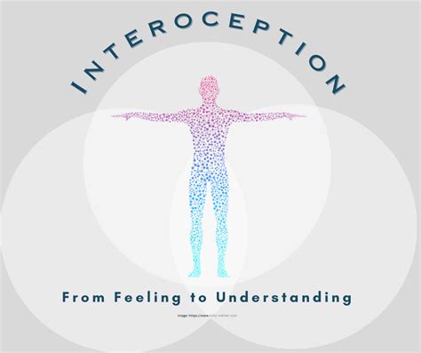 Image result for Interoception Definition