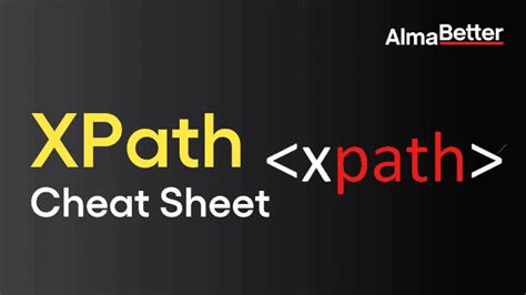 Afbeeldingsresultaten voor XPath Sample