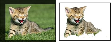 Image result for R Programming Language for GrabCut