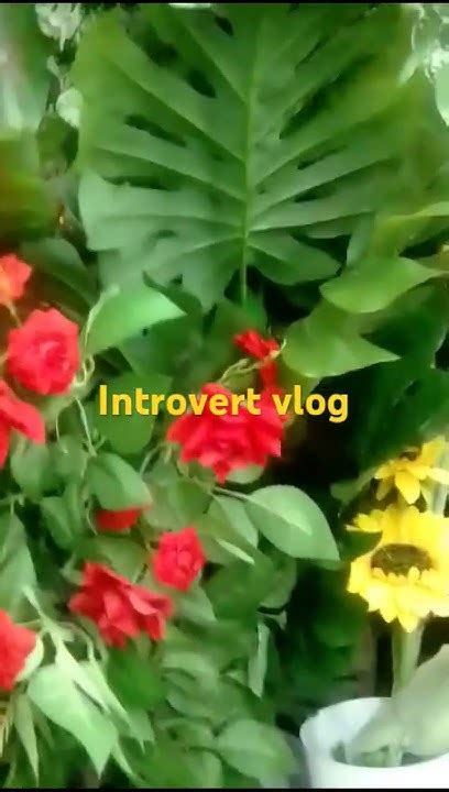 Image result for Introvert Flower
