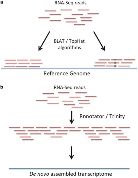 Transcriptome RNA-Seq-साठीचा प्रतिमा निकाल