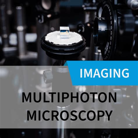 Multiphoton Microscope Book に対する画像結果