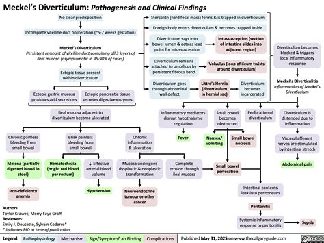 Intussusception Lab Work Up에 대한 이미지 결과