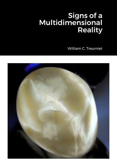 Multidimensional Reality Theory に対する画像結果