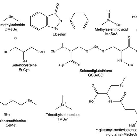 Image result for Selenium Compounds