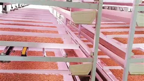Image result for DIY Hydroponic Fodder Growing Systems