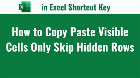 Excel Paste Over Hidden Rows に対する画像結果