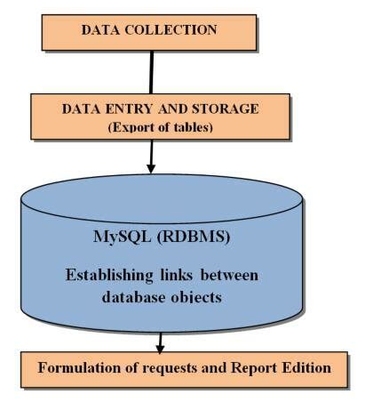 Flowchart of a Composite Database に対する画像結果