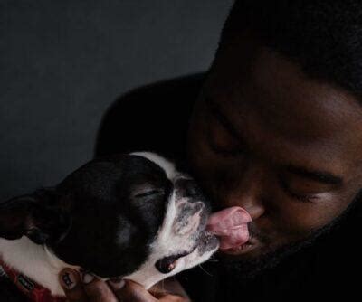 Dogs Lick Humans Under に対する画像結果