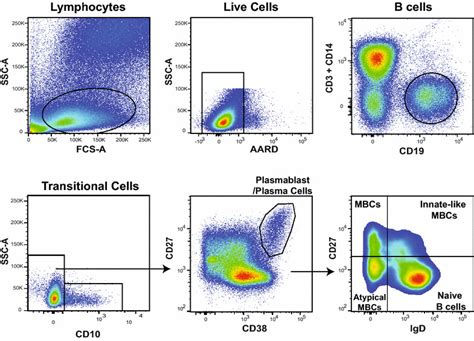 Image result for Marimo Cell Gating Flow Cytometry