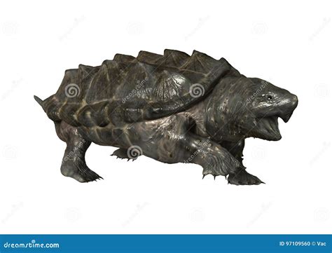 Super Rare Alligator Snapping Turtle に対する画像結果