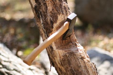 Image result for Axe Chop Tree
