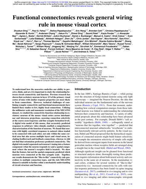 Afbeeldingsresultaten voor Mouse Visual Cortex Saggittal