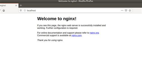 Nginx Virtual Host に対する画像結果