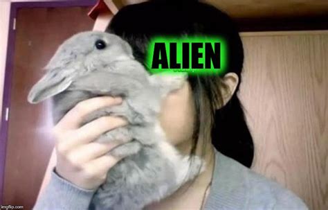 Alien Bunny Plush Movie に対する画像結果