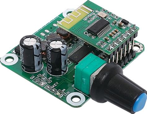 Image result for Digital Audio Amplifier Module