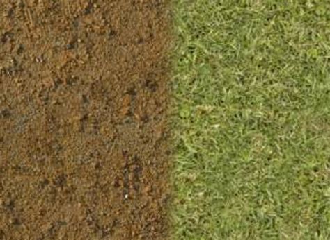 Afbeeldingsresultaten voor Unity Painting Terrain