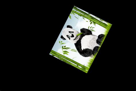 Image result for Extract White Rectangle From Image Python