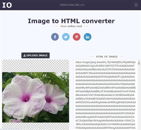 Image Url に対する画像結果
