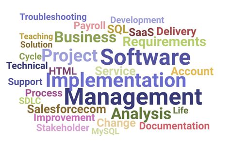 Image result for Perfect Resume Job Description Implementation Manager