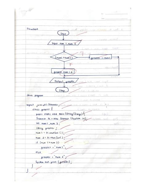 Image result for Selection Coding