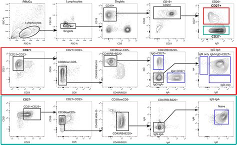 Memory Cell എന്നതിനുള്ള ഇമേജ് ഫലം