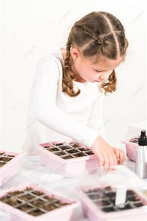 Afbeeldingsresultaten voor Clean Wrap for Humidity Dome