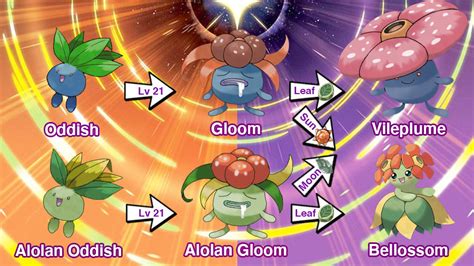 Image result for Odish Evolution Tree