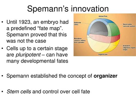 Image result for Development Biological Activity Method PPT