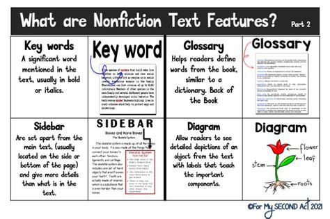 What are Text Features Examples? - For My Second Act