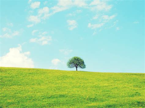 Image result for HTML Grayscale