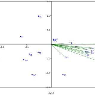 Afbeeldingsresultaten voor Text Analysis Al