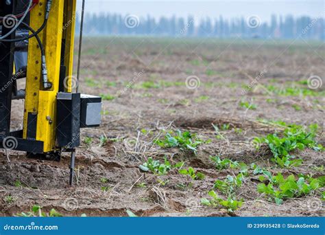 Continuous Push Sampling に対する画像結果