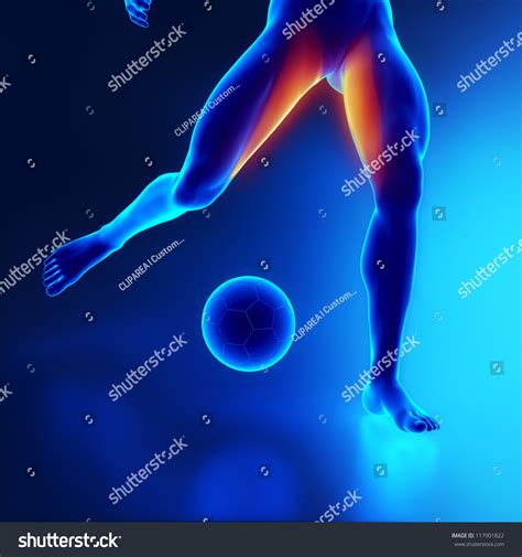 Image result for Strained Thigh Muscle