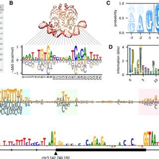 Image result for Python Plot Sequence Logos