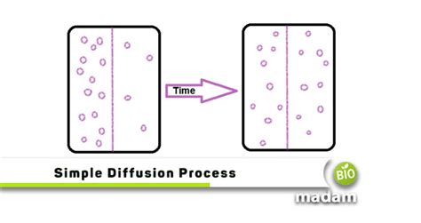 Image result for What Is Simple Diffusion Examples