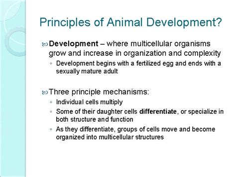 Image result for Animal Development Models