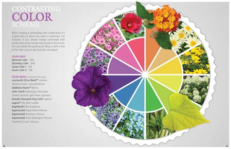 Image result for Color Wheel Flower Design