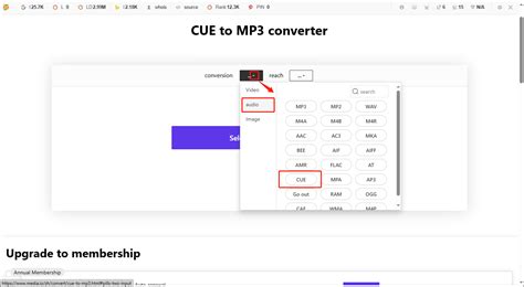 Image result for Cue File for Wave