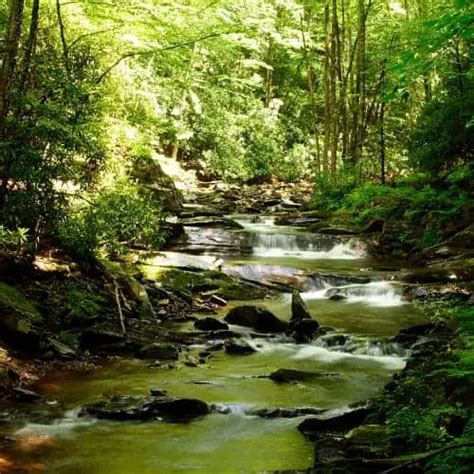 Image result for Stream Type