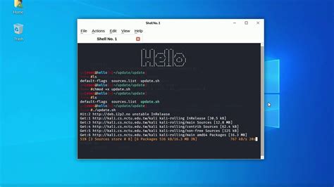 Image result for Kali Linux Script