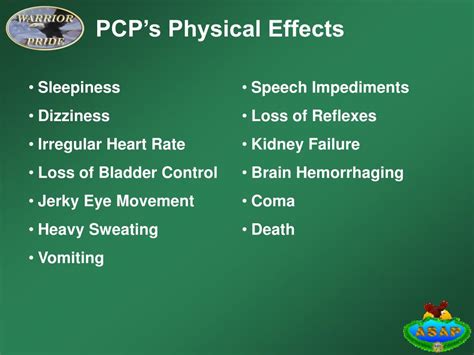 Image result for PCP Effects On the Nervous System