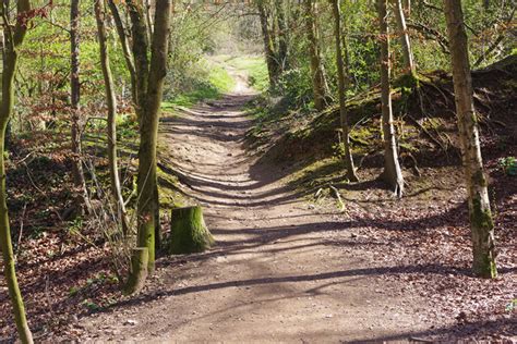 Toradh íomhá ar Path Down View PDF