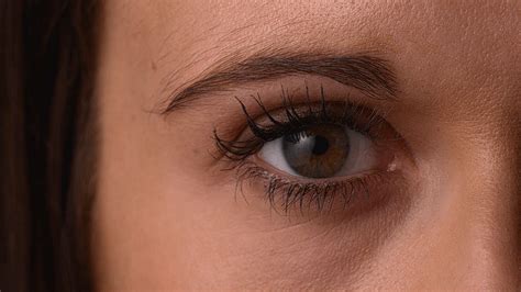 Image result for Magic Com Sharp